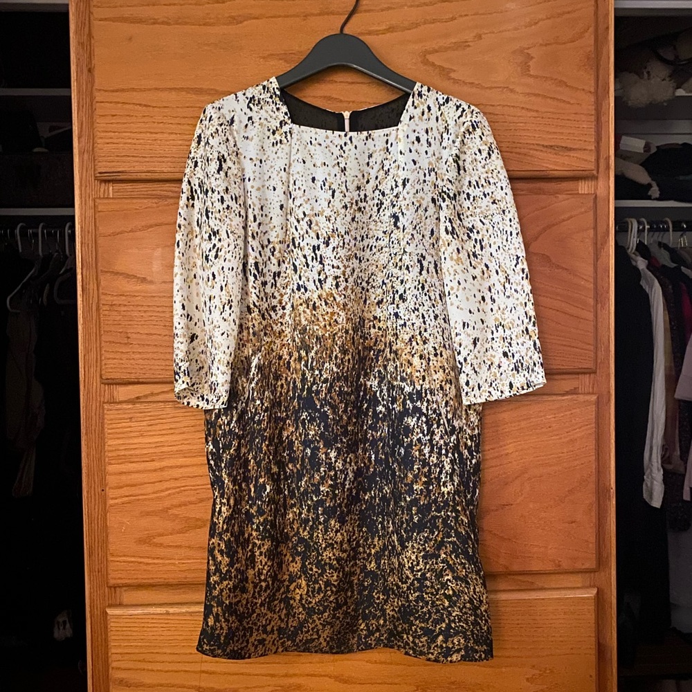 Zara dress